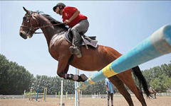 Riding at full gallop in the land of tallyho