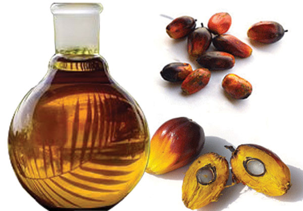 stockpiles prompt cutbacks in palm oil output