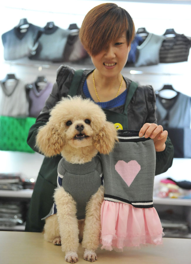 Surge in demand for pet clothes