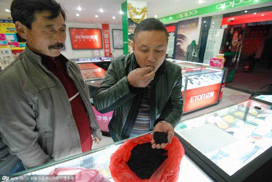 Man earns money by catching ants in Jiangxi