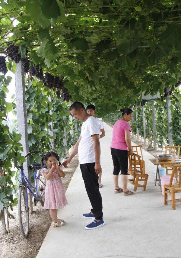 Selenium helps Hubei's Xiantao promote agritourism