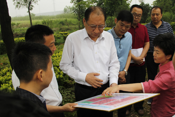Hubei's Xiantao gears up to develop into a green city