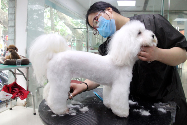Hotels for dogs and shampoos for cats: Pet products, services set to boom