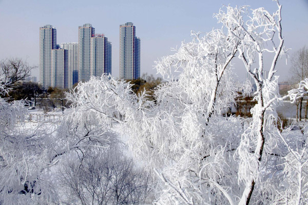 NE China covered in wintry ice