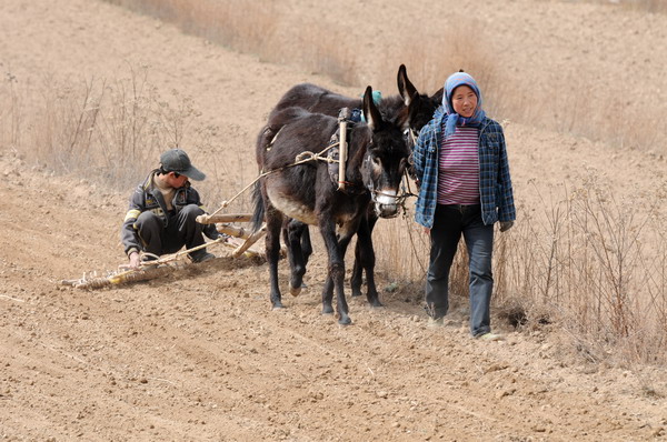Lingering drought plagues NW China