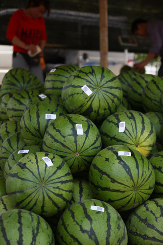 Watermelons now come with scannable data