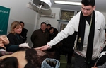 Chengdu stores ban bear bile