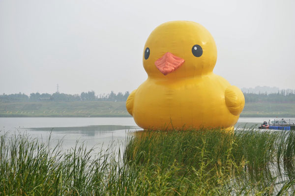 Giant rubber duck comes to life in Beijing