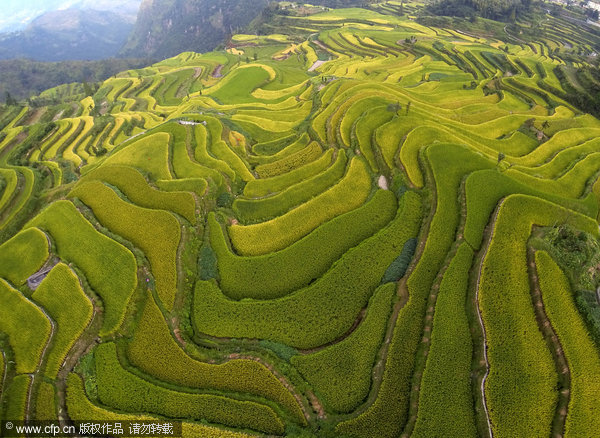 Fields form visual masterpiece in E China