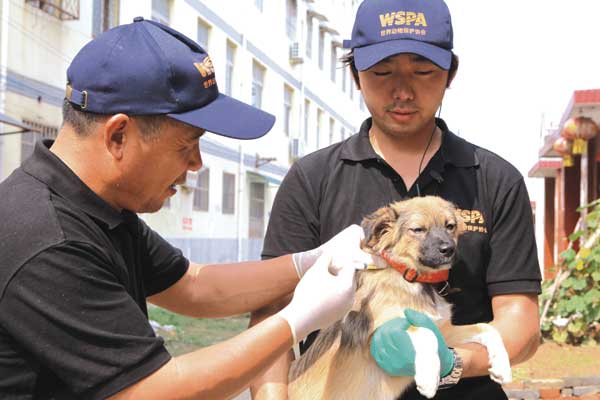 Animal welfare to be added in training