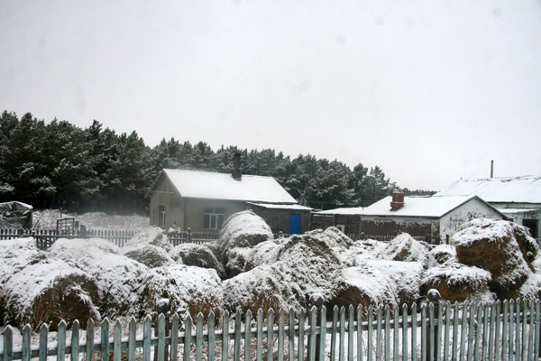 Snow makes seasonal debut in N China