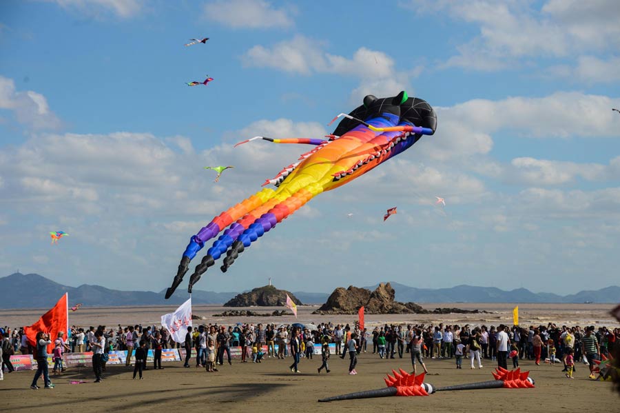 Kite festival held in E. China