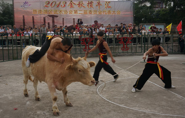 Chinese-style bullfight in E China