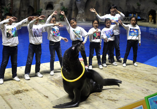 Sea lion greets painting contest champion