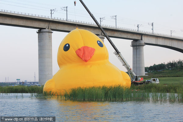 Trials and tribulations of rubber duck
