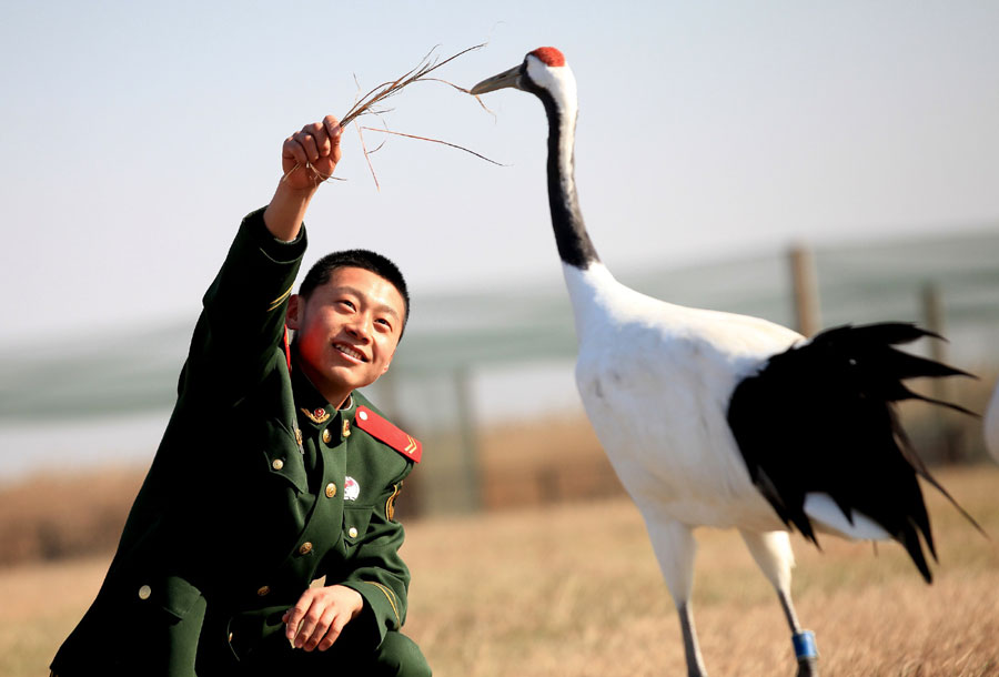 Paradise for migratory birds in E China