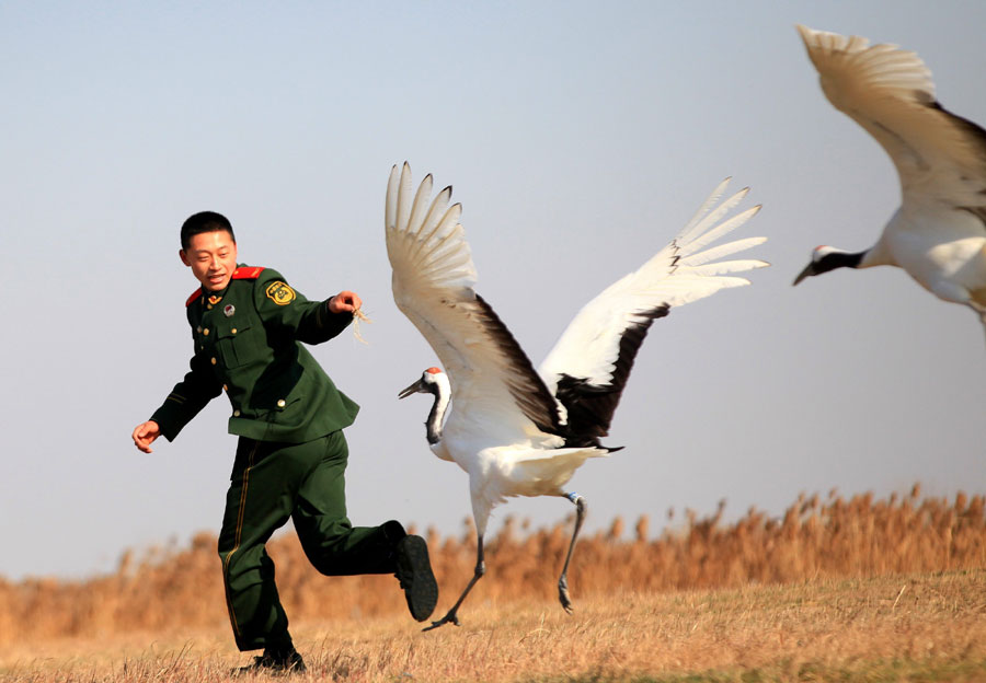 Paradise for migratory birds in E China