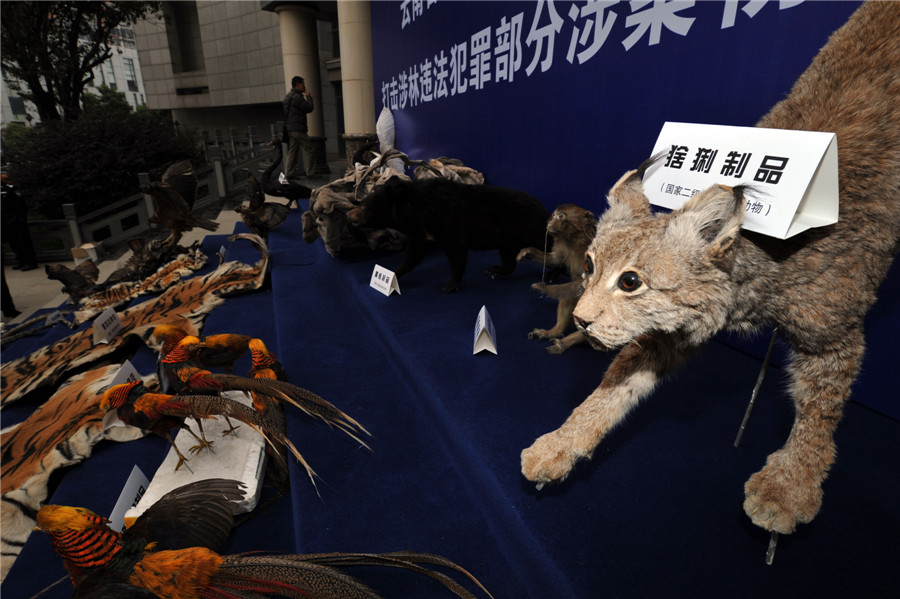 Yunnan busts wildlife trafficking case
