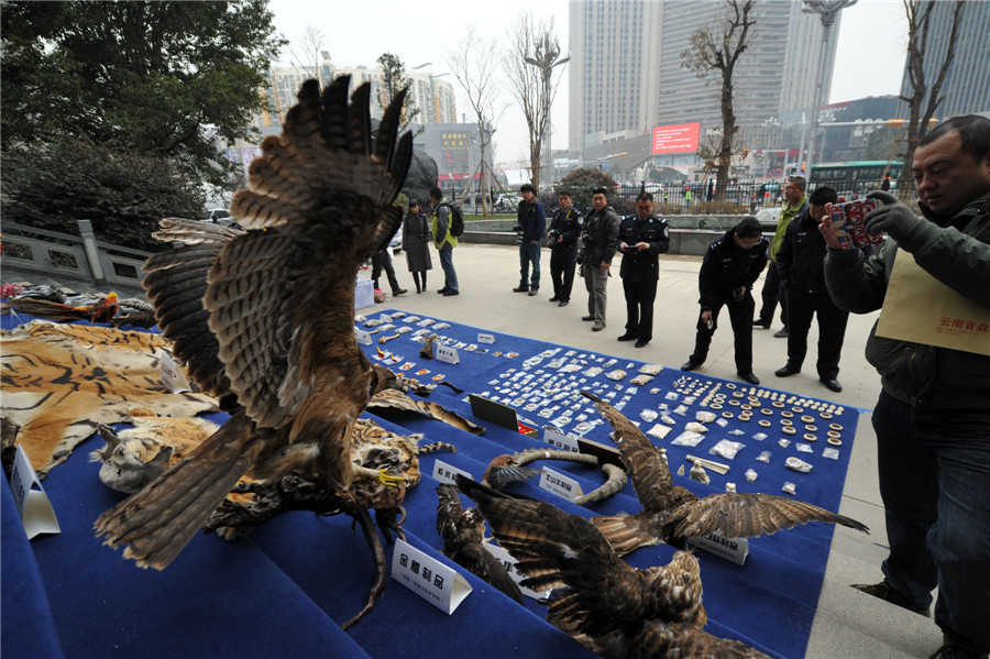 Yunnan busts wildlife trafficking case