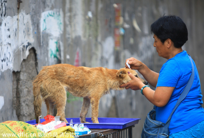 Activist purchases dogs before dog eating festival in South China
