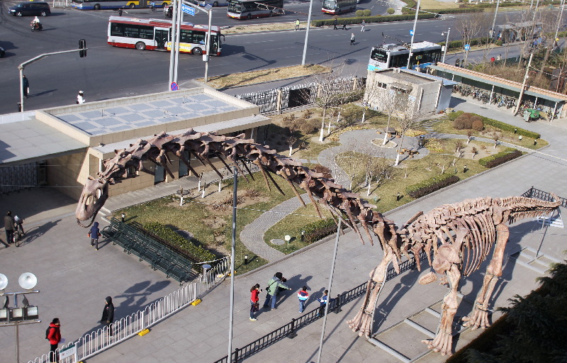 Giant dinosaur in town