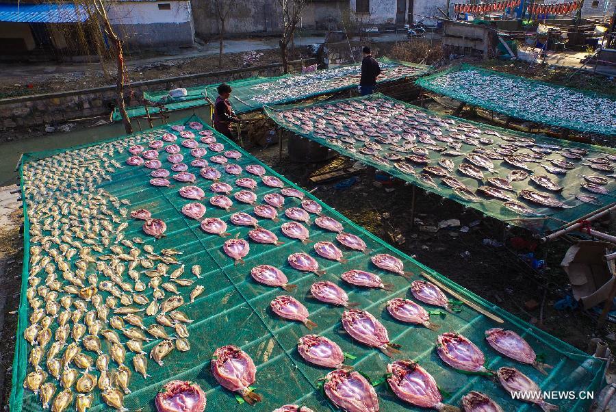 Harvest time of fish starts in E China's Zhejiang