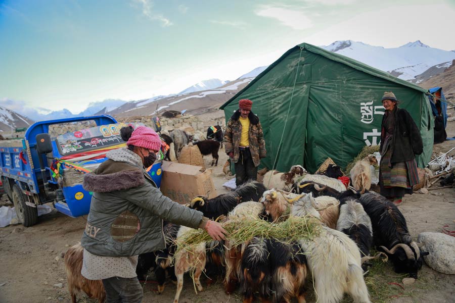 Relief work underway in quake-stricken Tibet