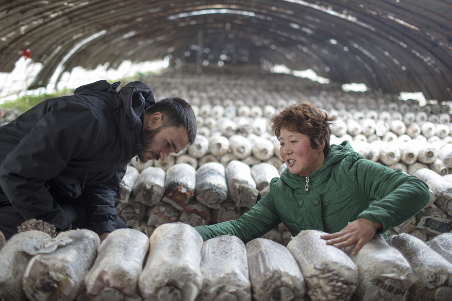 Foreigners learn mushroom cultivation skills in Xi'an