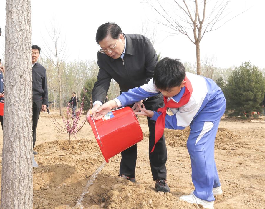 Top Chinese leaders attend voluntary tree-planting in Beijing