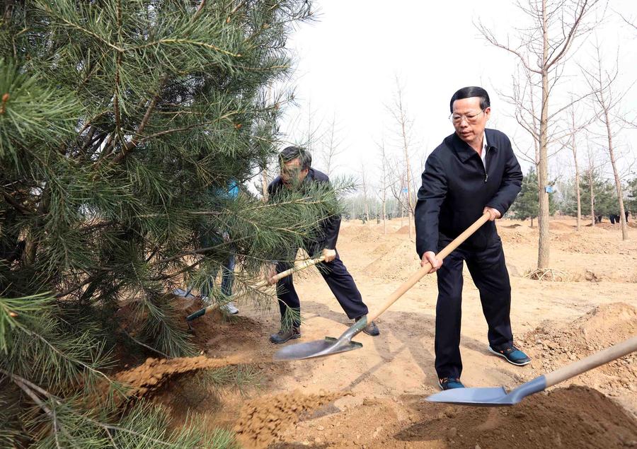 Top Chinese leaders attend voluntary tree-planting in Beijing