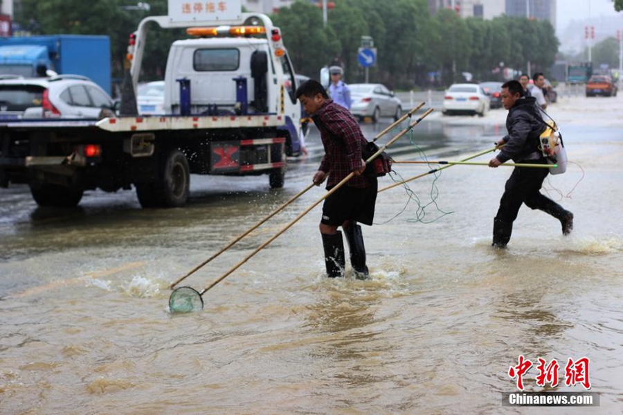 Residents net fish on flooded road in C China