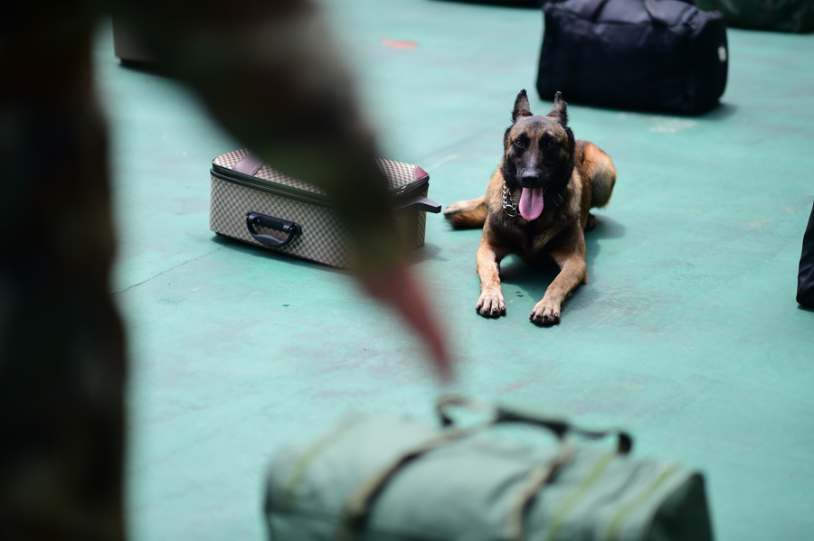 Sniffer dogs play games, train on international anti-drug day