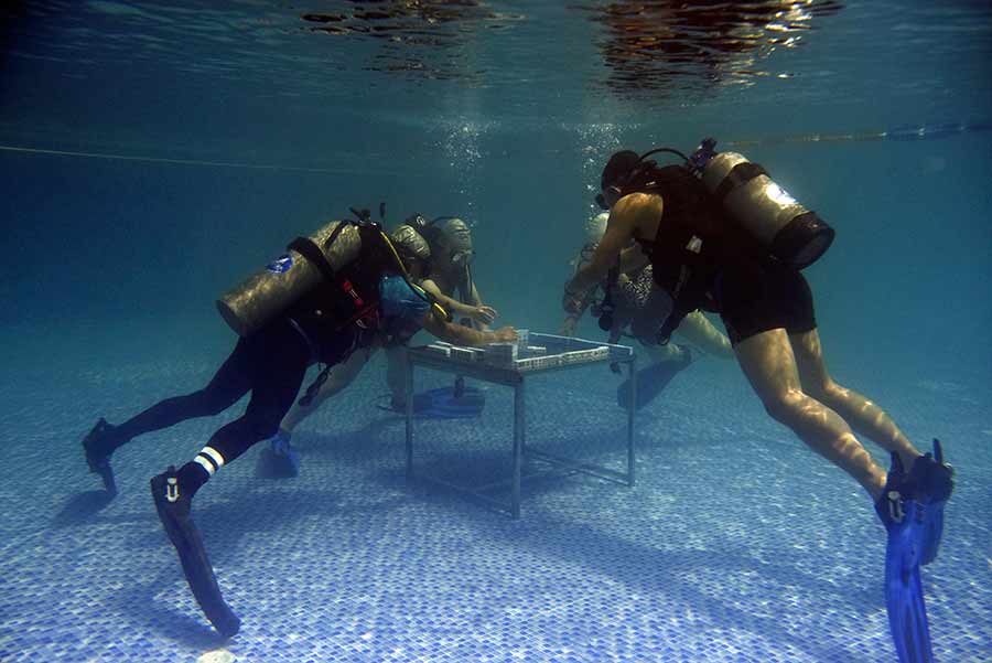 Fancy diving and mahjong at same time? No problem