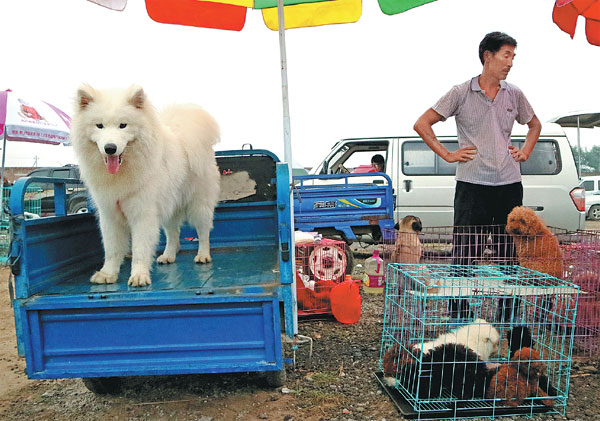 No place for dogs in new look Tongzhou