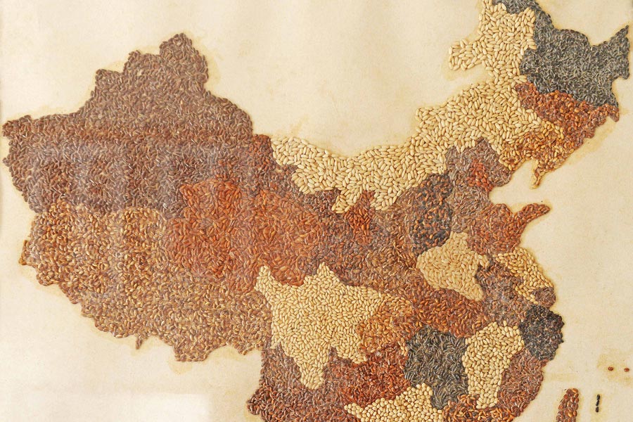 Elderly man creates map of China with colorful rice in Shanghai