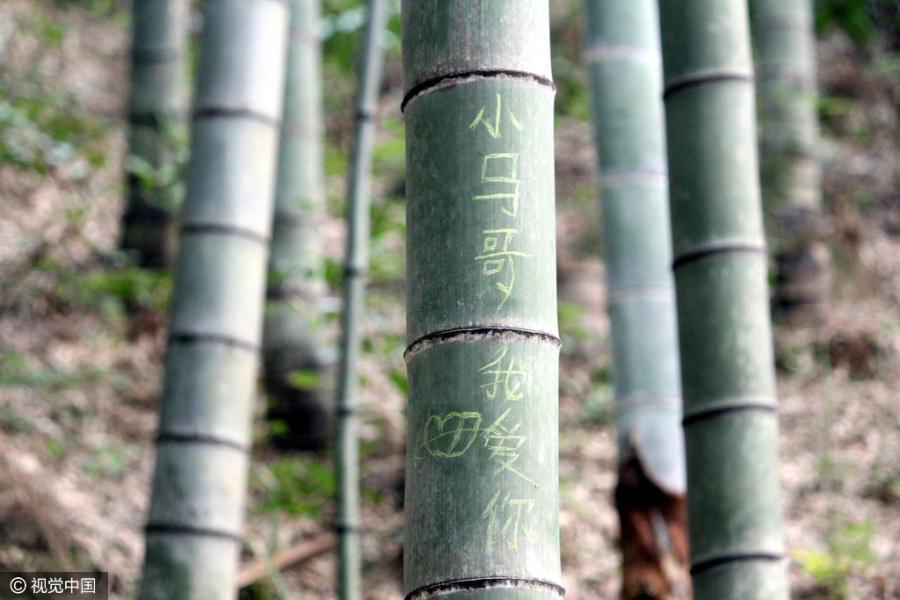 Graffiti on bamboo welcome here