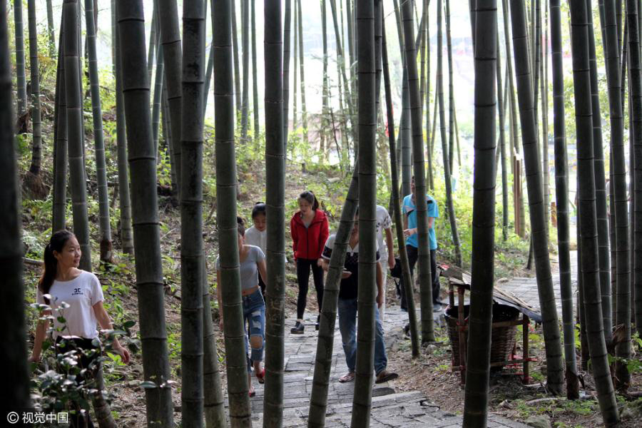 Graffiti on bamboo welcome here