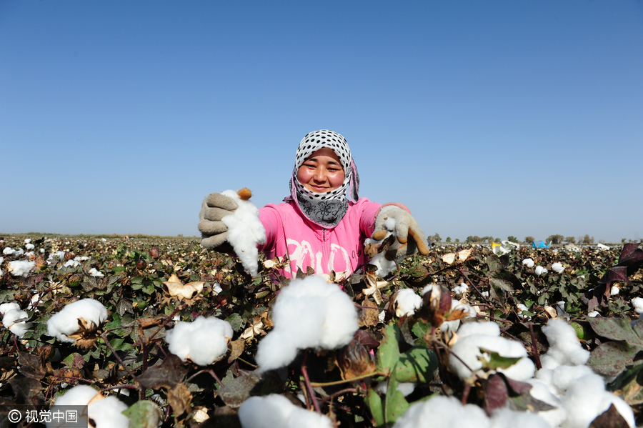 400,000 migrant workers flock to Xinjiang to harvest cotton
