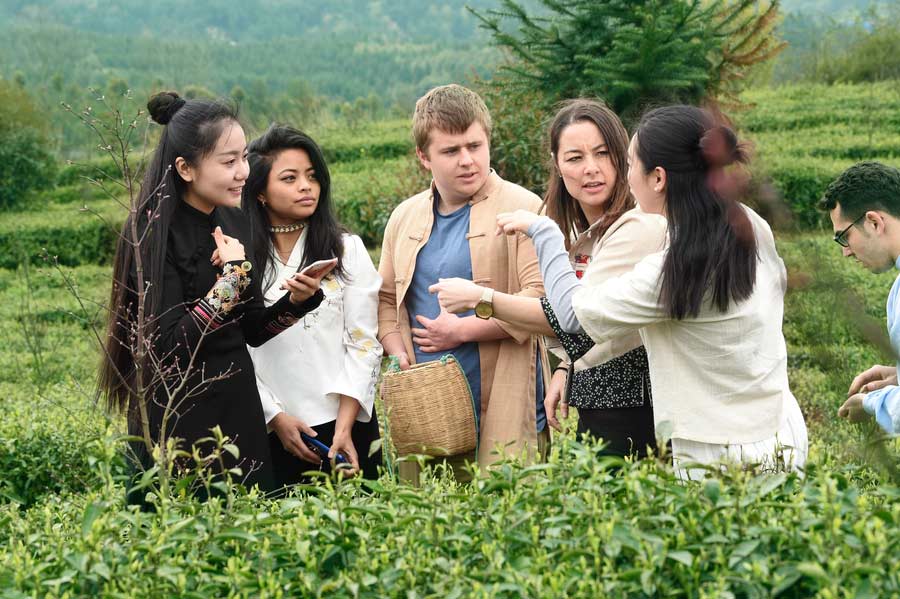 Expats get a 'taste' of Chinese tea culture in Guizhou