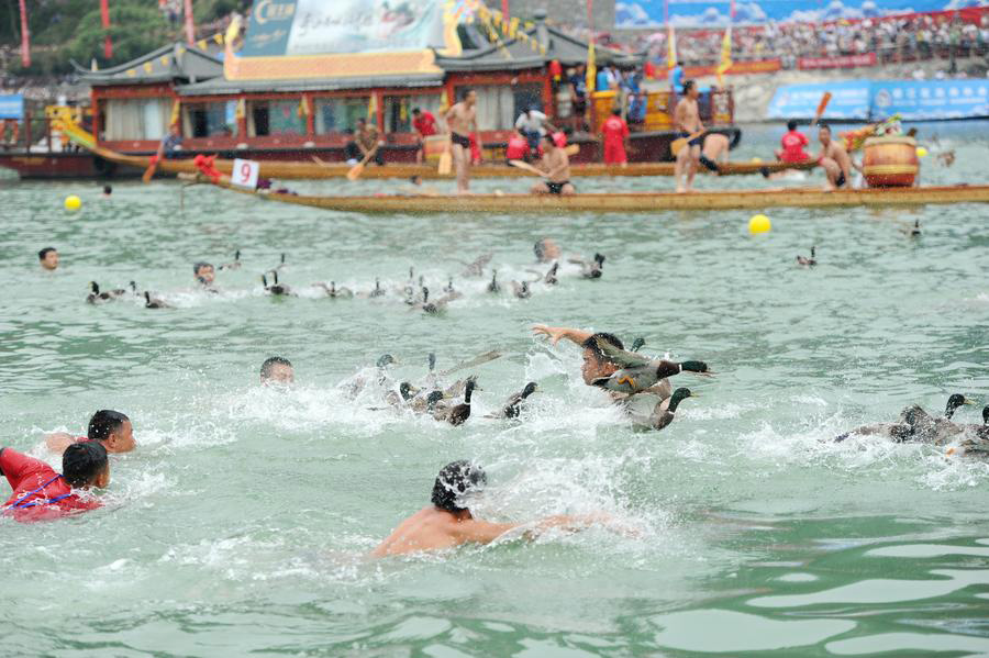 Duck-catching event held to celebrate Duanwu Festival in Tongren