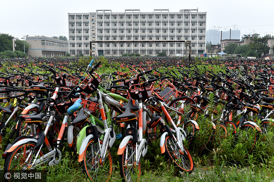 Peak problem: Mountain of impounded shared bikes seen in Hefei