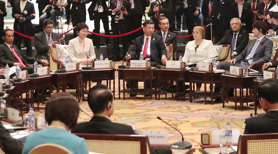 In pics: Xi's hectic schedule during APEC meetings in Vietnam