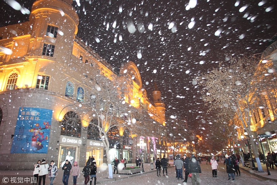 Snow turns Harbin into winter wonderland