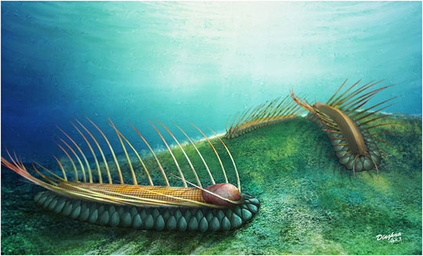 Fossil of a 'strange' sea creature discovered