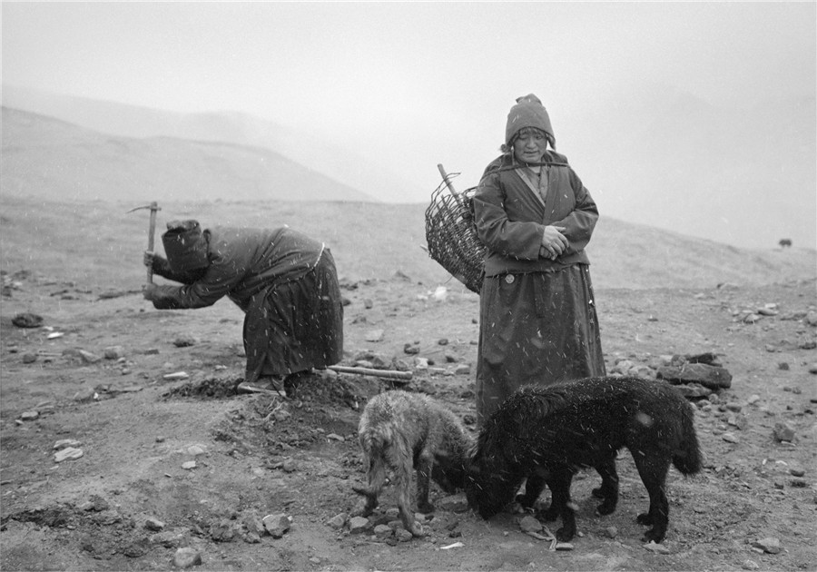Photographer captures life on Tibet Plateau