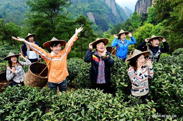 Tea farmers mark start of spring tea production