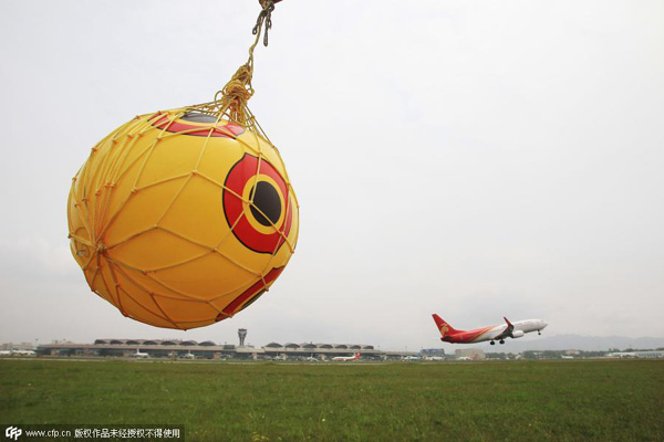 Tricks airports use to scare away birds