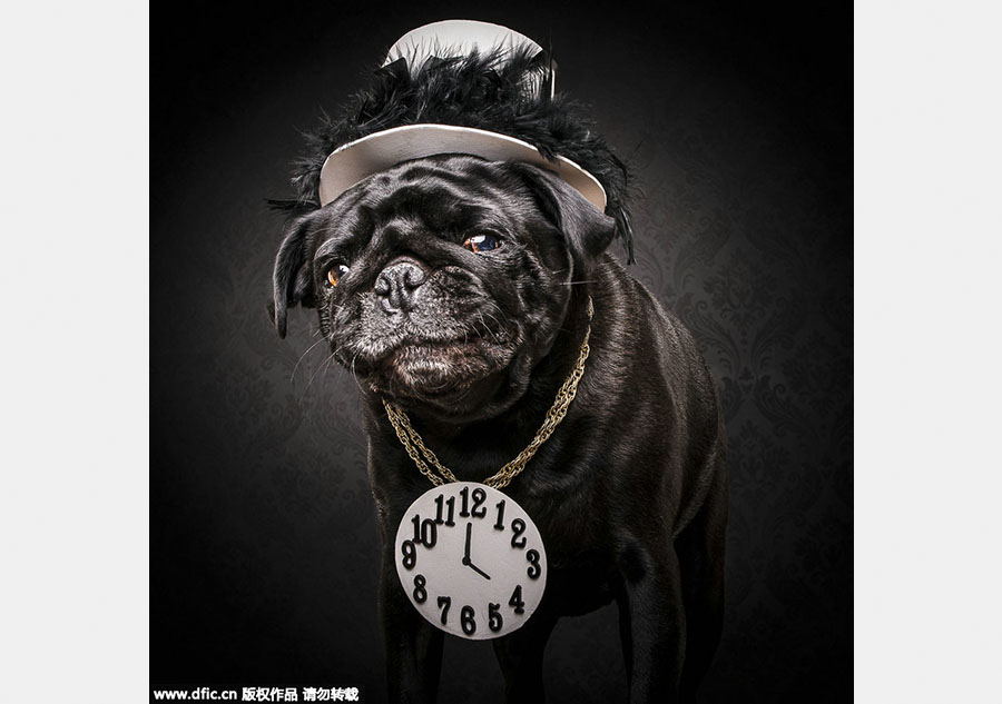 When pups catch up to hip-hop style