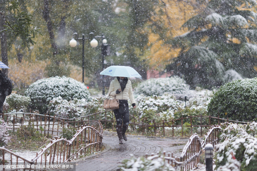 Beijing embraces first snow of the season