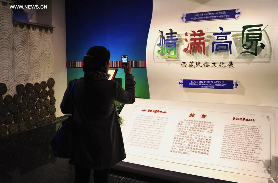 Cultural exhibition opens at Tibet Museum in Lhasa